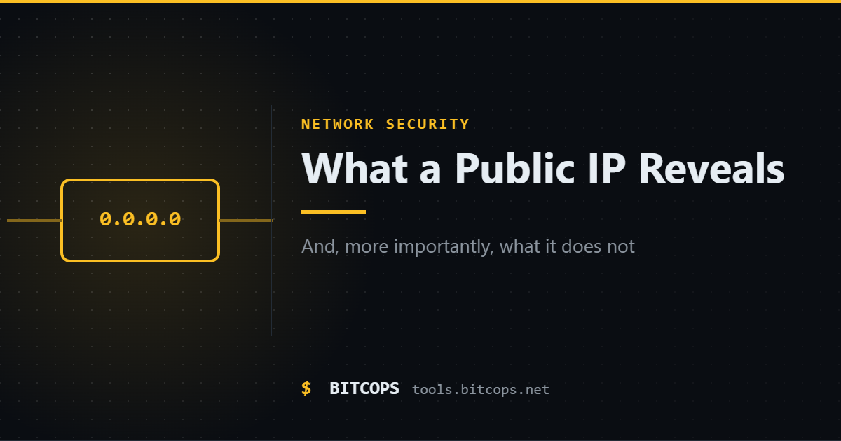 What a Public IP Address Reveals (and What It Does Not)